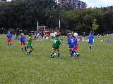 Click to see P9160008.JPG